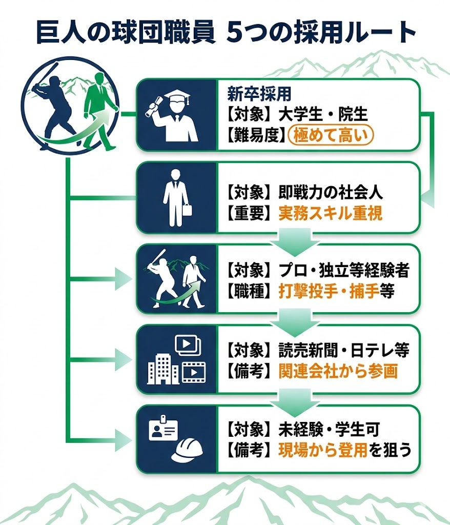 読売巨人軍の球団職員になる5つのルート(新卒・中途・元選手・グループ出向・契約社員)のまとめ図
